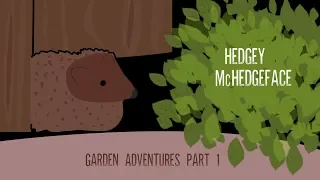 Hedgehog Adventures In The Garden