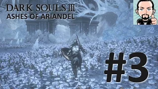 Dark Souls 3 [Ashes of Ariandel] #3 : Poulets Pourris