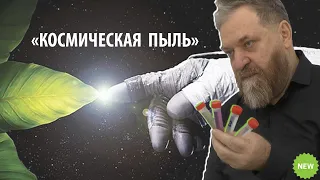 Выступление А.Г. Харченко в Магнитогорске, январь 2021 г.