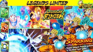 Dragon Ball Legends Tag Unit Concept- LF Super Saiyan Future Gohan & SSJ Blue God Goku Moveset