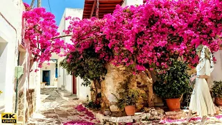 Estepona - The Most Flowery White Villages of Spain - The Most Flowery Places of Andalusia