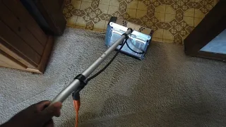 Cleaning 13 year old carpets