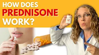 How Does Prednisone Work? - Prednisone Pharmacology - Corticosteroids & Glucocorticoids