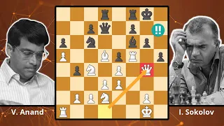 Anand's Almost Brilliancy! Anand vs. Sokolov, 1996