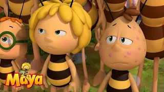 Honey ban for Willy - Maya the bee🍯🐝🍯