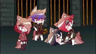 Wolf gives birth 2 🫣 Gacha club mpreg //#gacha #gachaclub #gachalife