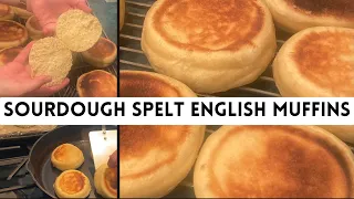 100% Spelt Sourdough English Muffins | Ancient Grains Bake With Me