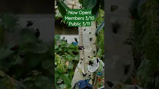 The newly improved Cockrell Butterfly Center is NOW OPEN! 🦋