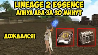 Апнул лвл за 30 минут бездонатным сорком в Lineage 2 Essence.