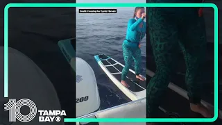 Paddle boarder trailed by shark during relay race from The Bahamas to Florida