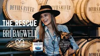 Bri Bagwell - "The Rescue" - Rescue Pet Montage
