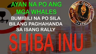 Nag-uumpisa ng bumili o mag-accumulate ang mga Shiba Inu - Sabayan na po natin sila