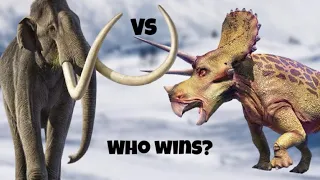 Steppe mammoth vs triceratops: who wins?