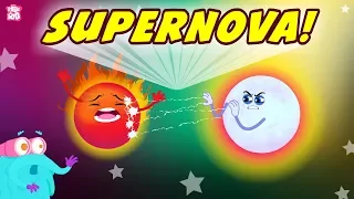 What Is Supernova? The Dr. Binocs Show | Best Learning Videos For Kids | Peekaboo Kidz