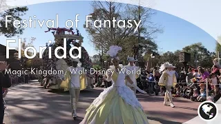 Disneys Festival of Fantasy Parade - Magic Kingdom - January 2018