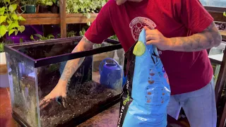 DIRT Planted Tank Setup - How to SOIL an Aquarium
