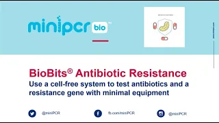 Live Demo: BioBits®: Antibiotic Resistance