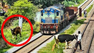 Loco Pilot Saves the Cow | Indian Railways | Train Videos