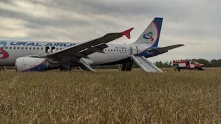 Самолет «Уральских авиалиний» экстренно сел на пшеничное поле под Новосибирском