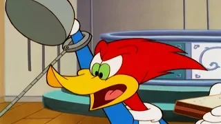 Woody Woodpecker Show | Spy-Guy | 1 Hour Woody Woodpecker Compilation | Cartoons For Children