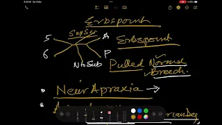 Brachial Plexus and ERBS Palsy GKSingh PIMS