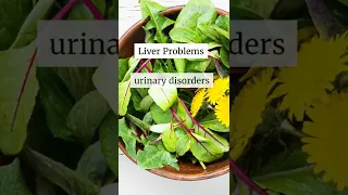 The many health benefits of Dandelions#dandelion #herbs #wellness