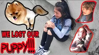 WE LOST OUR PUPPY.. PLEASE HELP US FIND HIM!! DAY #1| Familia Diamond