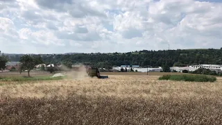 🌾ŽNĚ 2021🔊FORTSCHRITT E516B🚜PŠENICE🌾🔥