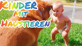 Süße Hunde und Babys sind beste Freunde ¶ Hunde Babysitting Babys Video