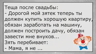 🔥Мама Спрашивает Маленького Сына...Большой Сборник Весёлых Анекдотов, Для Спер Настроения!