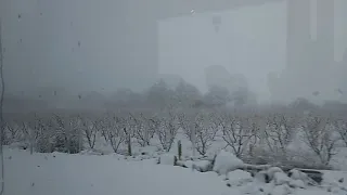 neige sur l'atlas Maroc