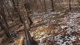 Охота на косулю. Зима 2018 Краснодарский край
