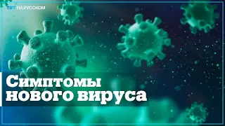 Что известно о вирусе «Ланъя»?