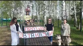 Челны против эвтаназии