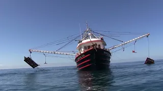 ⚓️¡ASÍ VIVEN LOS PESCADORES EN UN BARCO CAMARONERO!!