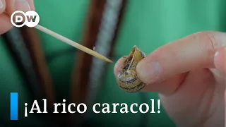 Pequeñas exquisiteces: la fiesta del caracol en Lleida | DW Euromaxx