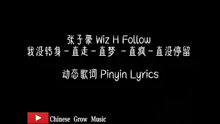 张子豪 Wiz H Follow 我没转身一直走一直梦 一直疯一直没停留 动态歌词 Pinyin Lyrics