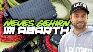 Das neue GEHIRN für den ABARTH! Kabelbaum Teil 1