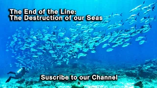 The End of the Line: The Destruction of our Seas