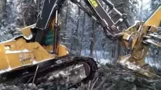 Feller buncher stuck in swamp