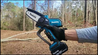 Red Maple Tree Disassembly with 6-inch Chainsaw ASMR