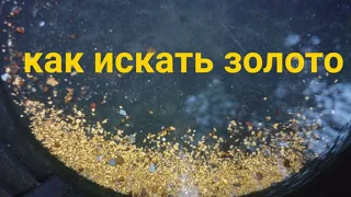 Как искать золото (коренник и щётки)  Finding Gold.