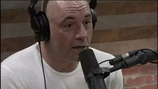 Joe Rogan on Transgender Athletes in MMA