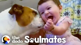 Adorable Kids and Dogs Growing Up Together | The Dodo Soulmates