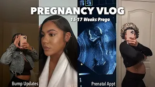 PREGNANCY VLOG: 15-17 weeks, prenatal appointment, first time mom