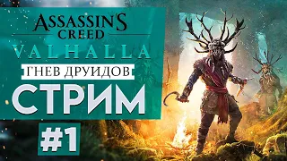 Прохождение Assassin's Creed: Valhalla | Вальгалла - ГНЕВ ДРУИДОВ #1