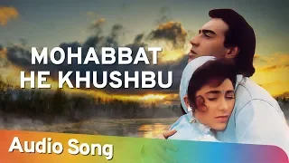 Mohabbat He Khushbu | Jigar (1992) | Ajay Devgan | Karishma Kapoor | Mohammad Aziz Collection