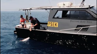 Ep2. Hand Line Fishing The Great Barrier Reef.