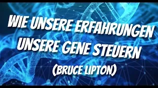 Wie deine Gefühle deine Gene steuern (Bruce Lipton) 😳 Was dir keiner sagt...