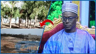 Thierno Alassane Sall sur le foncier et la bande de filaos de Guédiawaye